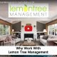 work lemon tree management